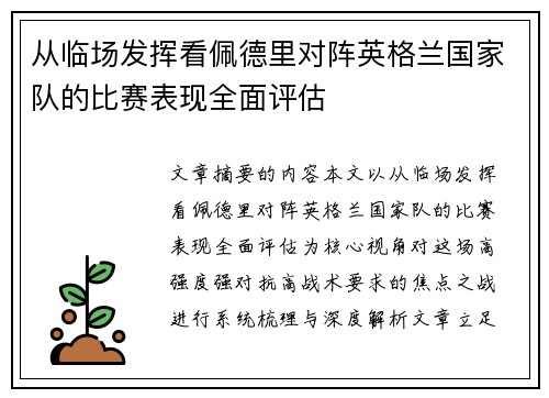 从临场发挥看佩德里对阵英格兰国家队的比赛表现全面评估