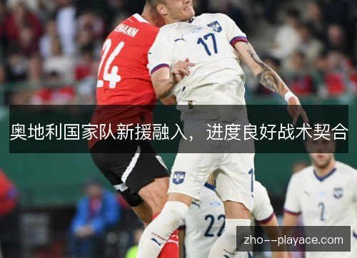 奥地利国家队新援融入，进度良好战术契合
