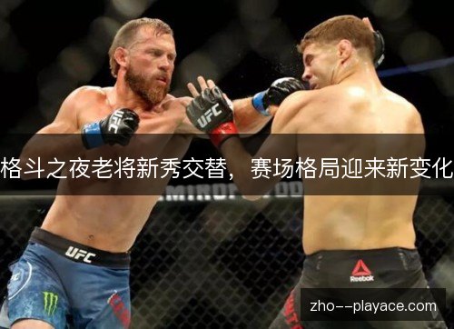 格斗之夜老将新秀交替,赛场格局迎来新变化 格斗之夜老将新秀交替,赛场格局迎来新变化